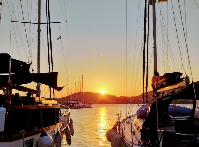 Yacht Front - Back Yard - No 7 * Ios